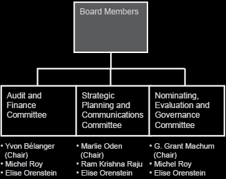 Committees of the Board
