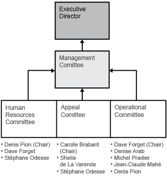 Management's governing structure